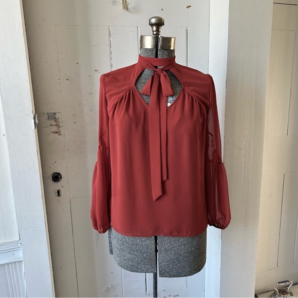 Express Rust Sheer Balloon Puff Sleeve Dress Work Shirt Blouse Top - Picture 2 of 13